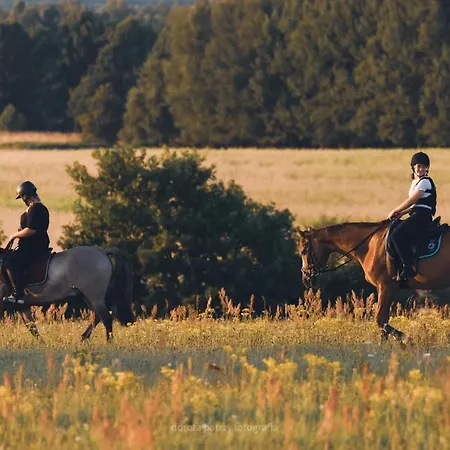 Ferienhaus Pod Debami ,pokoje,nauka Jazdy Konnej Obok Leby *