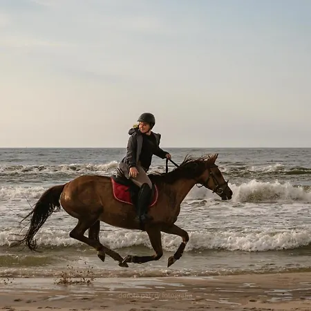 Pod Debami ,pokoje,nauka Jazdy Konnej Obok Leby *