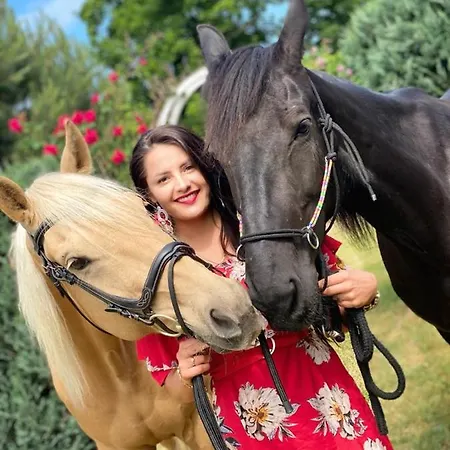 Pod Debami ,pokoje,nauka Jazdy Konnej Obok Leby * Sarbsk