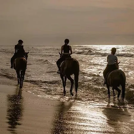 Pod Debami ,pokoje,nauka Jazdy Konnej Obok Leby Holiday home Sarbsk