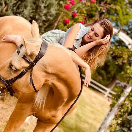 Holiday home Pod Debami ,pokoje,nauka Jazdy Konnej Obok Leby Sarbsk