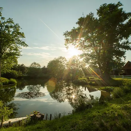 Pod Debami ,pokoje,nauka Jazdy Konnej Obok Leby Holiday home *