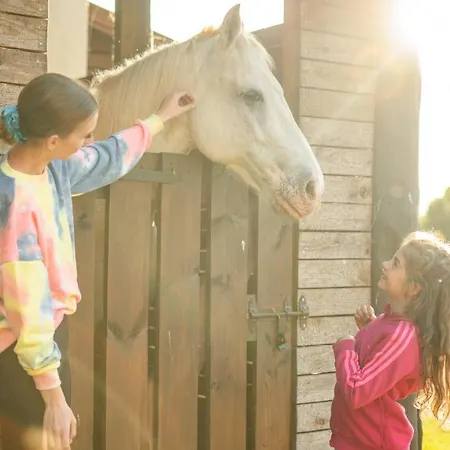 Ferienhaus Pod Debami ,pokoje,nauka Jazdy Konnej Obok Leby