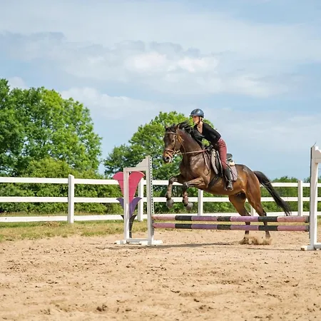 Pod Debami ,pokoje,nauka Jazdy Konnej Obok Leby Feriehus Sarbsk