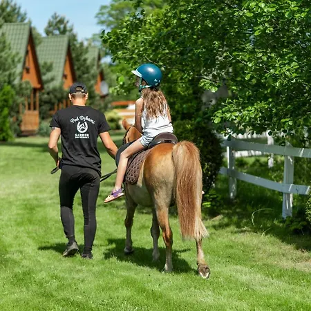 Ferienhaus Pod Debami ,pokoje,nauka Jazdy Konnej Obok Leby