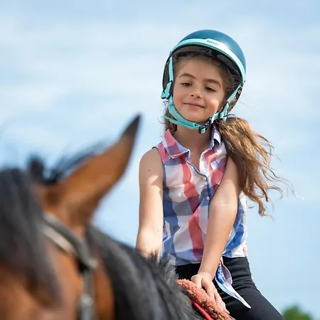 Pod Debami ,pokoje,nauka Jazdy Konnej Obok Leby *