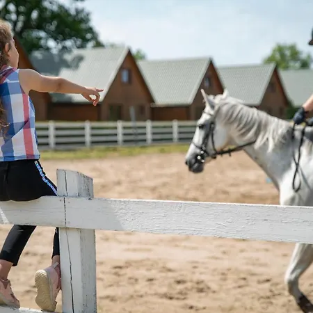 Pod Debami ,pokoje,nauka Jazdy Konnej Obok Leby Ferienhaus Sarbsk