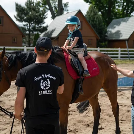 Feriehus Pod Debami ,pokoje,nauka Jazdy Konnej Obok Leby