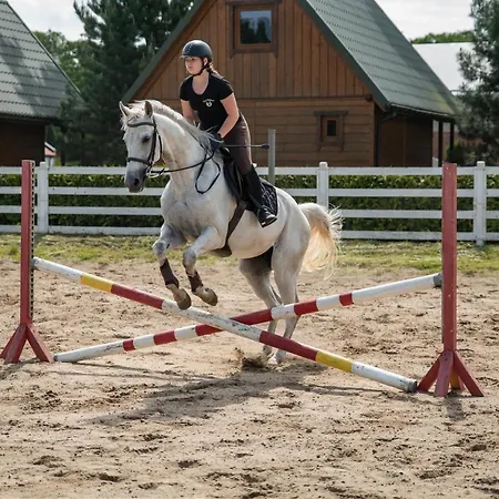 Pod Debami ,pokoje,nauka Jazdy Konnej Obok Leby Holiday home