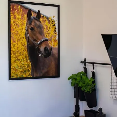 Ferienhaus Pod Debami ,pokoje,nauka Jazdy Konnej Obok Leby