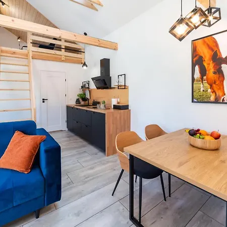 Pod Debami ,pokoje,nauka Jazdy Konnej Obok Leby