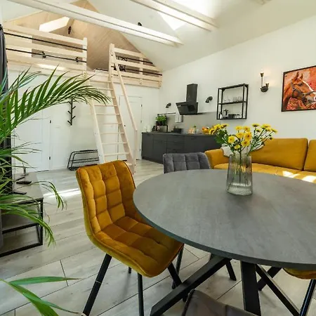 Ferienhaus Pod Debami ,pokoje,nauka Jazdy Konnej Obok Leby