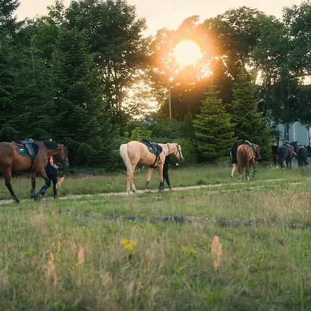 Holiday home Pod Debami ,pokoje,nauka Jazdy Konnej Obok Leby Sarbsk