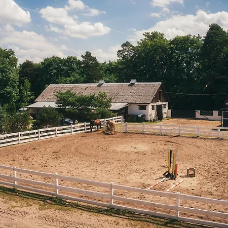 Holiday home Pod Debami ,pokoje,nauka Jazdy Konnej Obok Leby