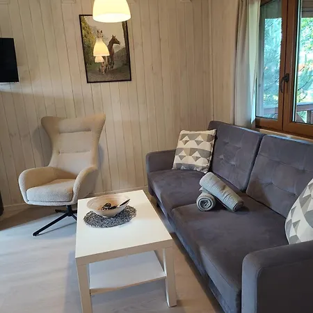 Pod Debami ,pokoje,nauka Jazdy Konnej Obok Leby Sarbsk