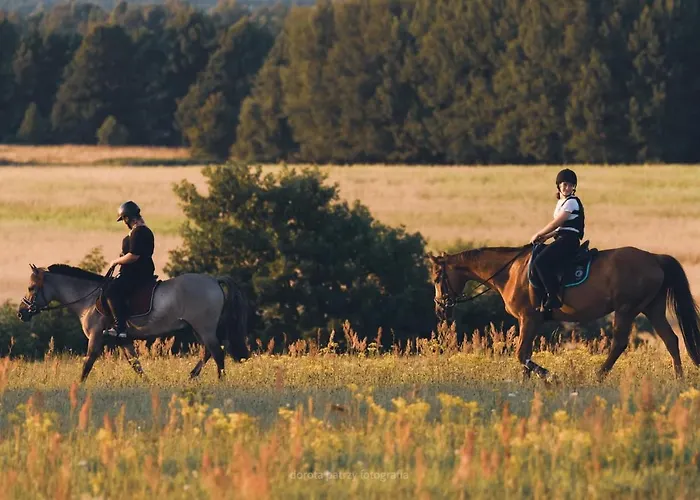 بيت للعطل Pod Debami ,pokoje,nauka Jazdy Konnej Obok Leby *
