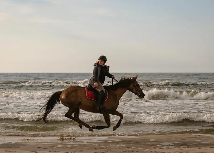 Pod Debami ,pokoje,nauka Jazdy Konnej Obok Leby *
