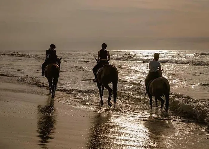 Pod Debami ,pokoje,nauka Jazdy Konnej Obok Leby Tatil Evi Sarbsk