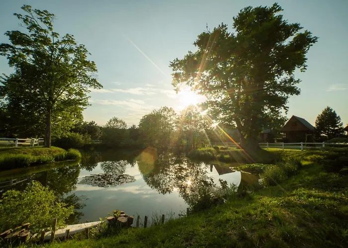 Pod Debami ,pokoje,nauka Jazdy Konnej Obok Leby بيت للعطل *