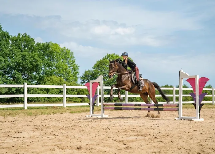 Pod Debami ,pokoje,nauka Jazdy Konnej Obok Leby بيت للعطل Sarbsk