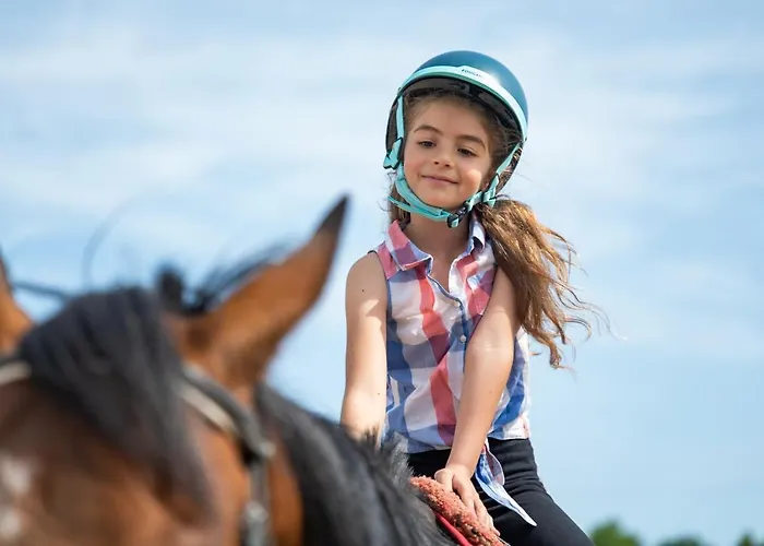 Pod Debami ,pokoje,nauka Jazdy Konnej Obok Leby *