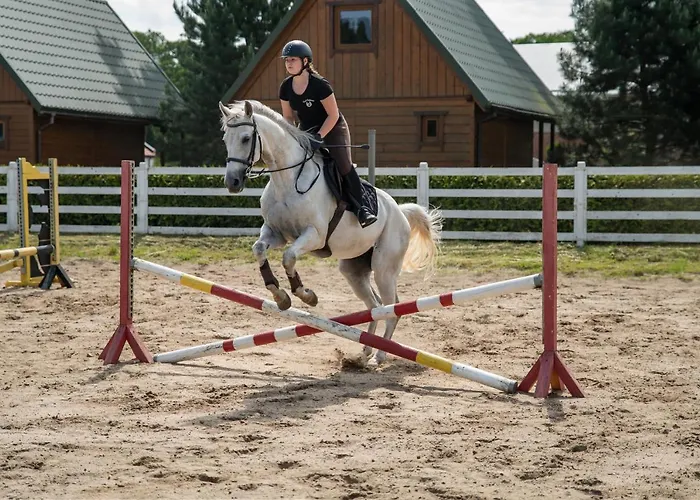Pod Debami ,pokoje,nauka Jazdy Konnej Obok Leby Tatil Evi