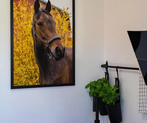 Tatil Evi Pod Debami ,pokoje,nauka Jazdy Konnej Obok Leby