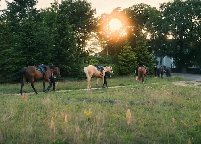 بيت للعطل Pod Debami ,pokoje,nauka Jazdy Konnej Obok Leby Sarbsk